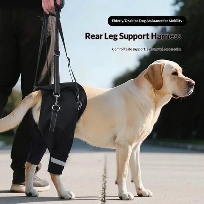 Dog Hind Leg Support Harness for Senior Disabled Dogs, Rehabilitation Mobility Lifting Aid, Adjustable Walking Assistance Leash