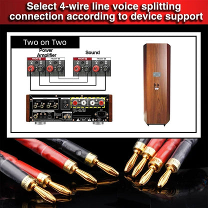 2 to 4 Banana Speaker Cable Hifi Audio Cable High End Audio Amplifier One Pair Copper Jack Ofc Speaker Cable Banana Plug Cable