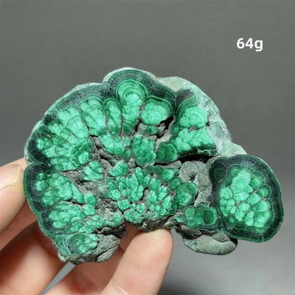 5A+ Natural Malachite Mineral Raw Stone Slice Home Office Feng Shui Decoration Therapy Spiritual Meditation Gem