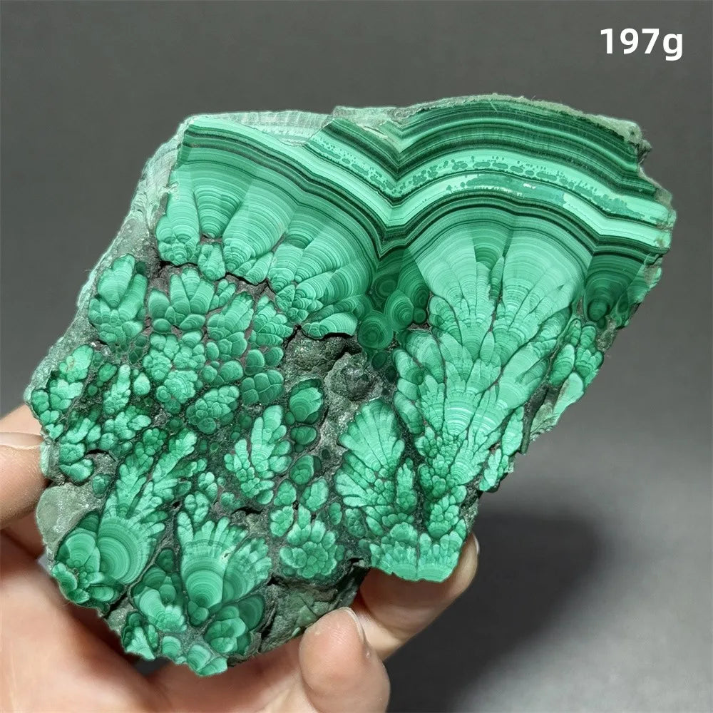 5A+ Natural Malachite Mineral Raw Stone Slice Home Office Feng Shui Decoration Therapy Spiritual Meditation Gem
