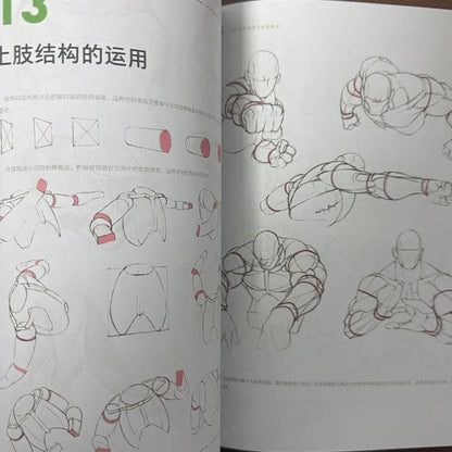 Professional Human Anatomy Drawing Book for Artists Body Structure Principles 80 Pose Guides