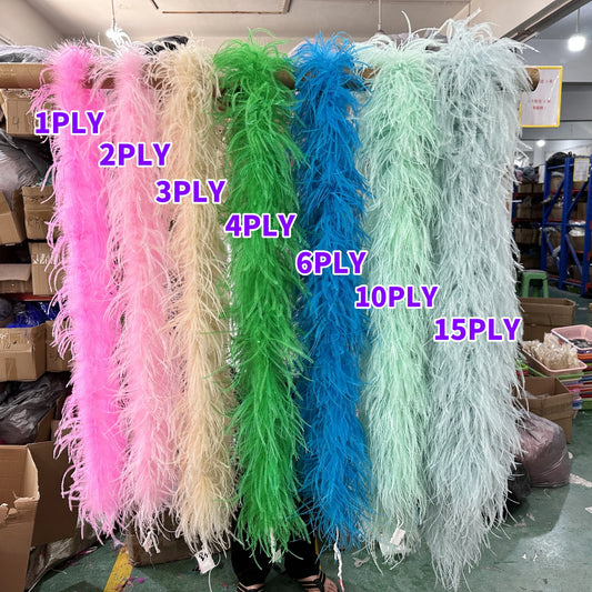 2 3 4 6 10 Ply Multicolor Ostrich Feathers Boa 2Meters Ostrich Feather Shawl for Party Lady Dress Clothing DIY Decoration Scarf