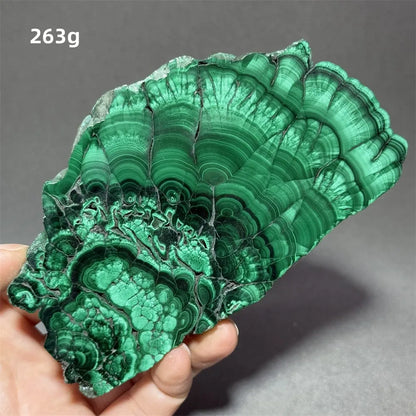 5A+ Natural Malachite Mineral Raw Stone Slice Home Office Feng Shui Decoration Therapy Spiritual Meditation Gem