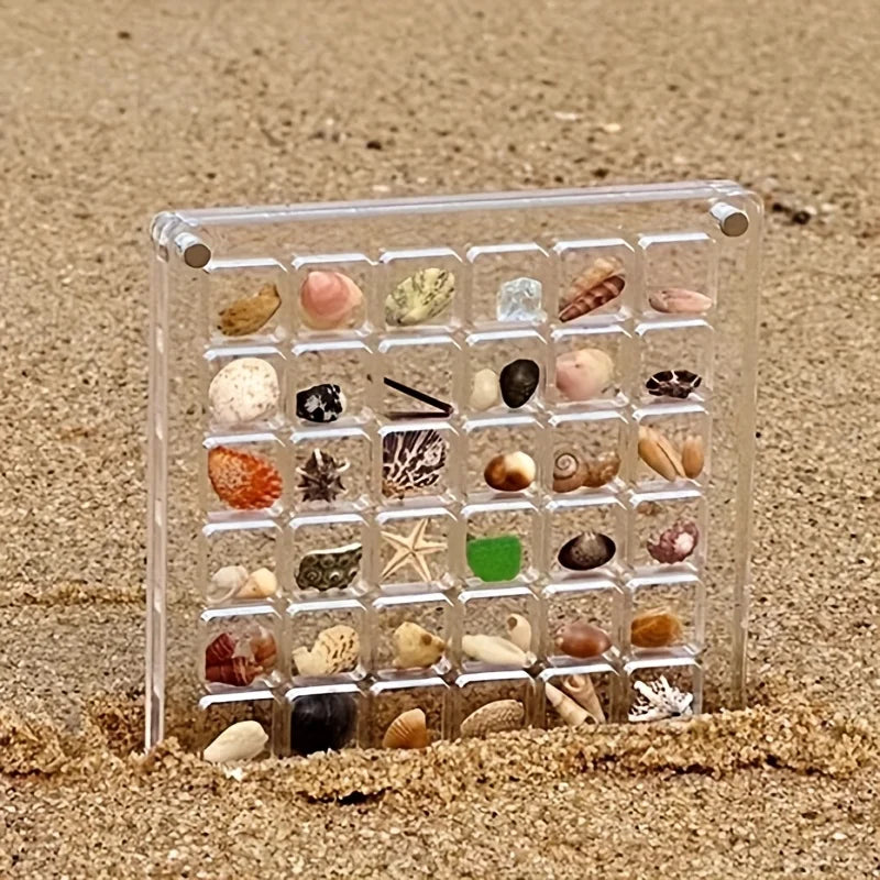 36 Grids Acrylic Seashell Display Box with Magnets Durable Starfishs Trinket Storage Case for Bead Nail Jewelry