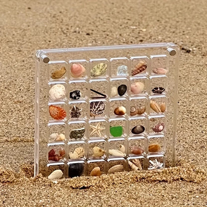 36 Grids Acrylic Seashell Display Box with Magnets Durable Starfishs Trinket Storage Case for Bead Nail Jewelry