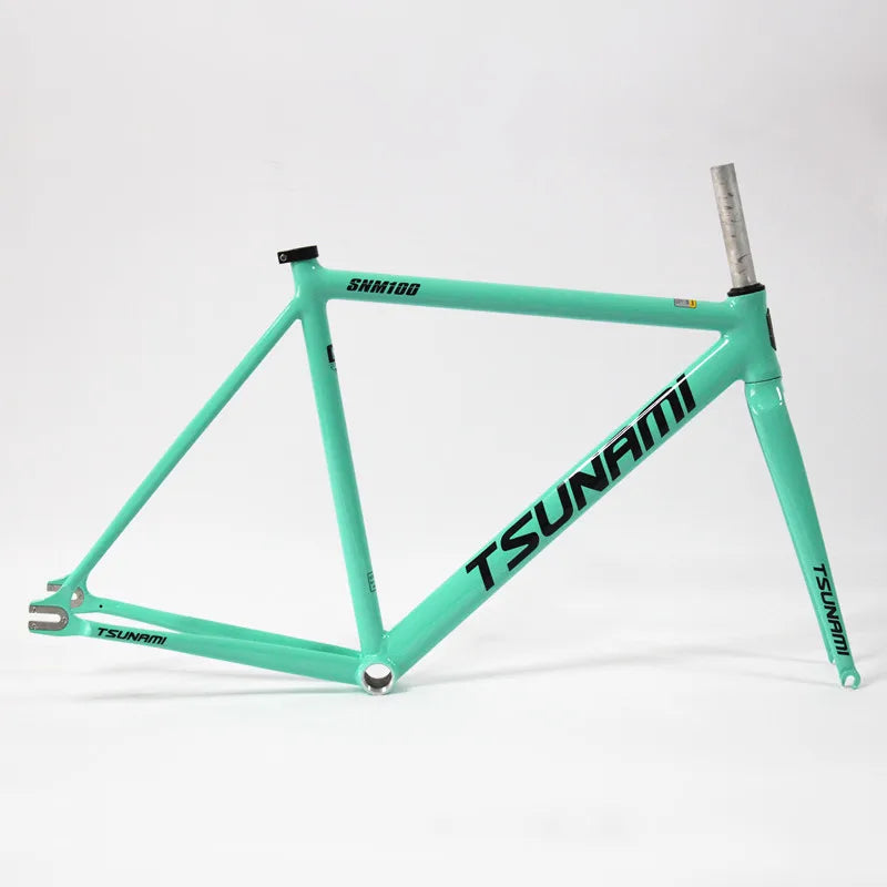 Tsunami SNM100 Aluminium Bicycle 49/52/55/58cm Fixed Bicycle 700C Racing Bike Single Speed Fixie Bicicleta With Carbon Wheelset