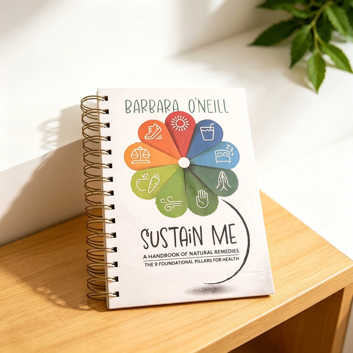 26 Sustain Me By Barbara O'Neill Book Provides Inspiring Insights for Improvement Life/Self-motivation/Psychological Adjustment
