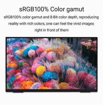 ZSUS 18-Inch 1080P 100Hz 100%sRGB Portable Monitor 16:9 HDR 350cd /M² For XBox PS4 / 5 Switch Cell Phone PC Loptop Extension