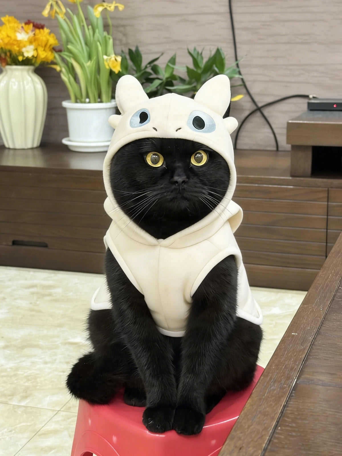 Little Devil Cat, Dog Clothes, Winter Cat, Puppy Cat, Blue Cat, Kitten, Pet, Hair Loss Prevention, Autumn and Winter Collection