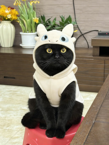 Little Devil Cat, Dog Clothes, Winter Cat, Puppy Cat, Blue Cat, Kitten, Pet, Hair Loss Prevention, Autumn and Winter Collection