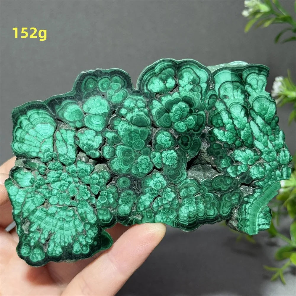 Natural High-Quality And Beautiful Malachite Slate Mineral Raw Stone Therapy Meditation Prayer Energy Home Decoration+Bracket