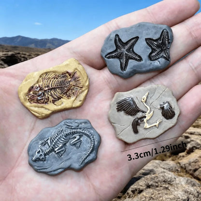 5pcs Random DIY Dinosaur Fossils, Archaeological Accessories, Sand Table Model Decorations, Model Enthusiast Collectibles