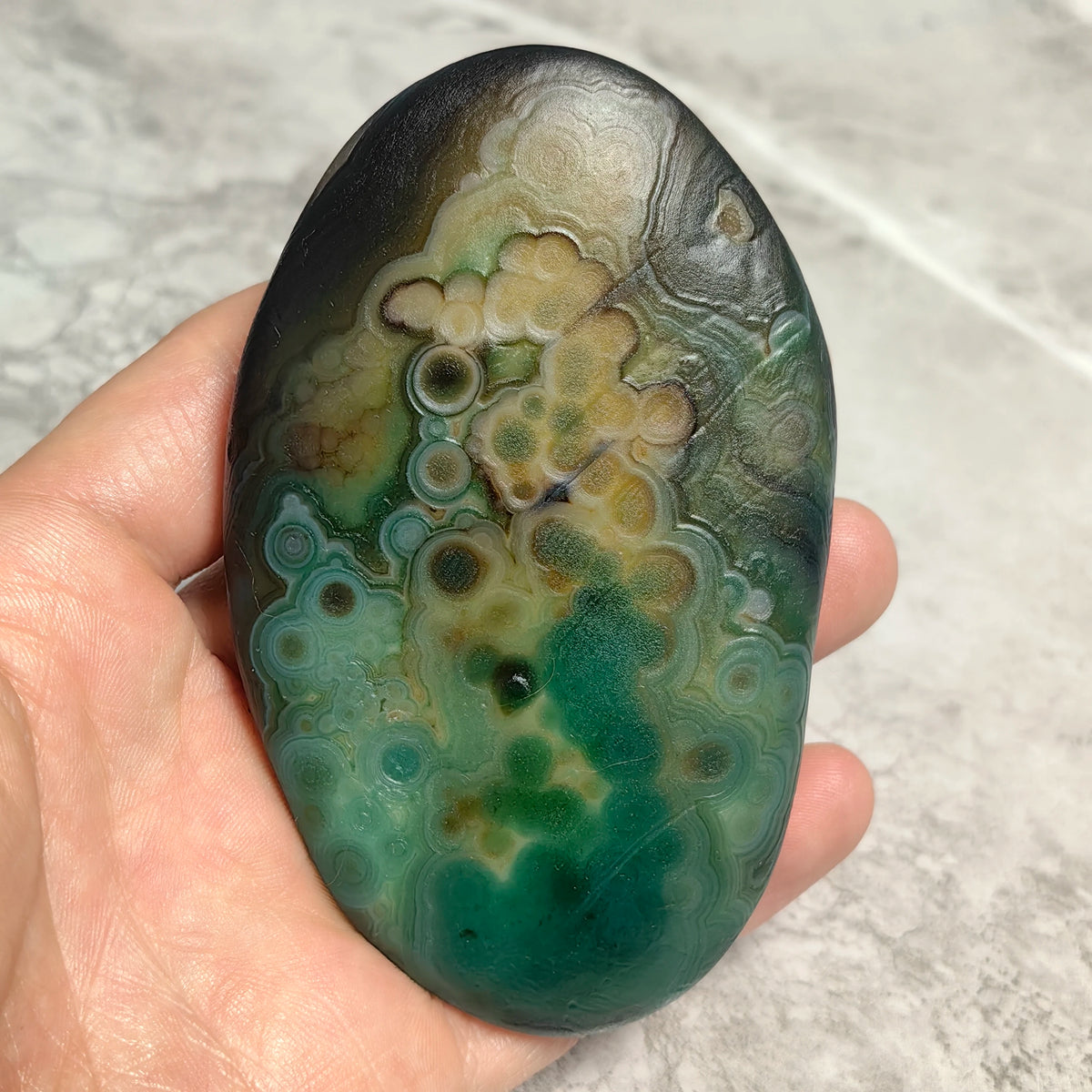 Large Natural Gobi Agate Palm Stone Flower Eye Mongolian Raw Rock Minor Flaws Unpolished For Collectors Home Decor Display