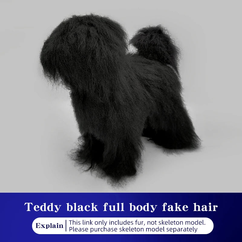 Teddy Pet Simulation Hair Beauty Fake Beautician Practicing Dog Standard Teddy Full Body Fake Head, Skeleton Model, Pet Groomer