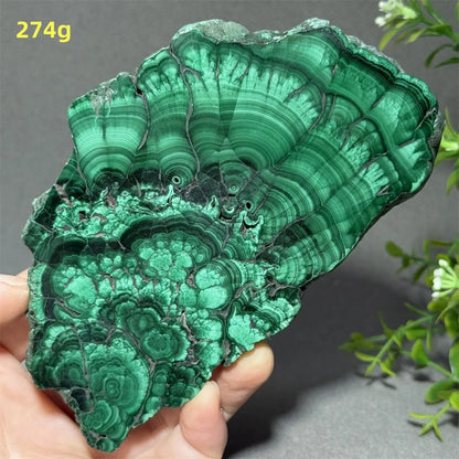 Natural High-Quality And Beautiful Malachite Slate Mineral Raw Stone Therapy Meditation Prayer Energy Home Decoration+Bracket