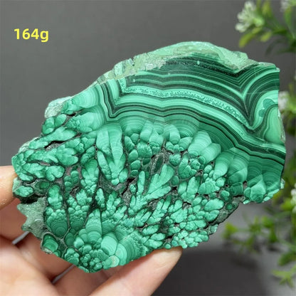 Natural High-Quality And Beautiful Malachite Slate Mineral Raw Stone Therapy Meditation Prayer Energy Home Decoration+Bracket