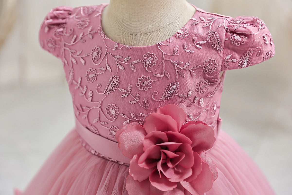 Girls' performance dress three-dimensional lace princess dress Festival fluffy skirt gauze dress dress dress dress flower girl d