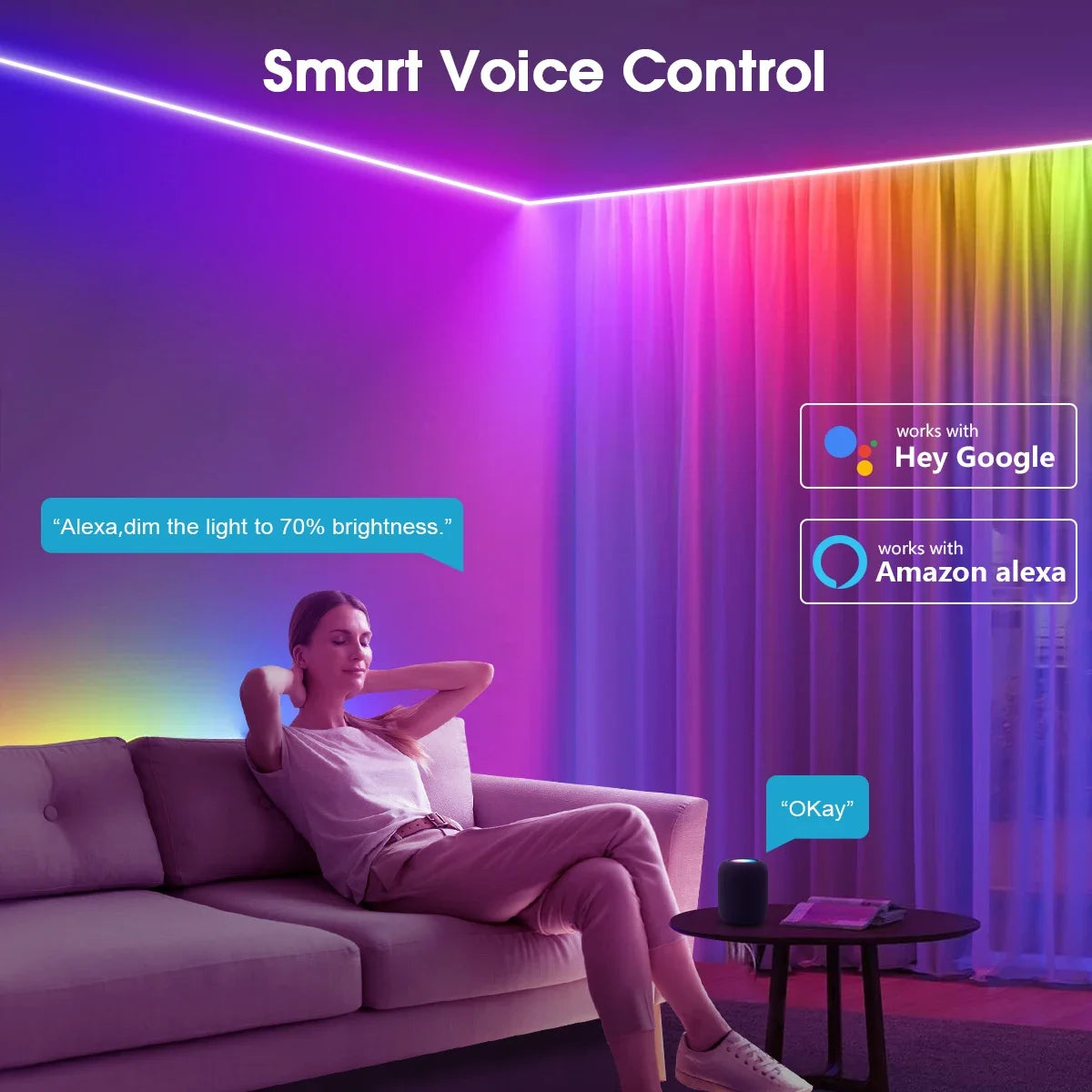 Smart TUYA WS2811 RGB IC Dreamcolor COB LED Strip Light Segment LED Control Music Mode Voice Control Support Alexa Google Home