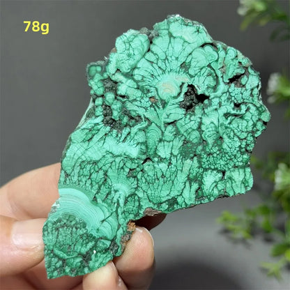Natural High-Quality And Beautiful Malachite Slate Mineral Raw Stone Therapy Meditation Prayer Energy Home Decoration+Bracket