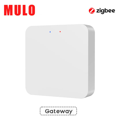 ZigBee WiFi Smart Smoke Detector Alarm, Works with Tuya Smart Life App Compatible Fire Sensor for Home Security, App Alerts
