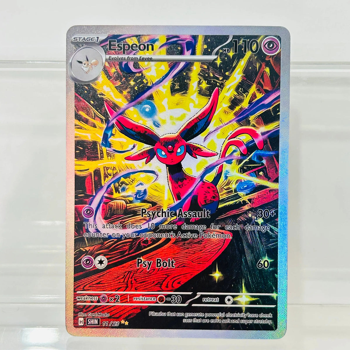 Shining Charizard 17/23 EN Version DIY Holographic Foil Texture Card, Perfect Condition Premium Anime Collection Card