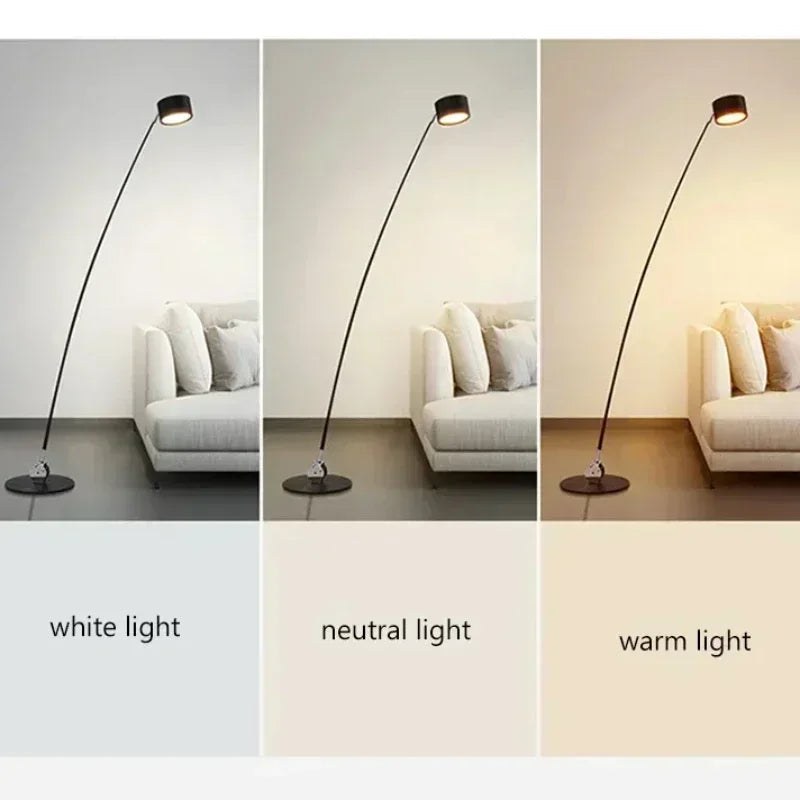 Home Decorations Floor Lamp Minimalist Long Pole Led Lights Living Sofa Corner Bedroom Bedside Standing Fishing Light