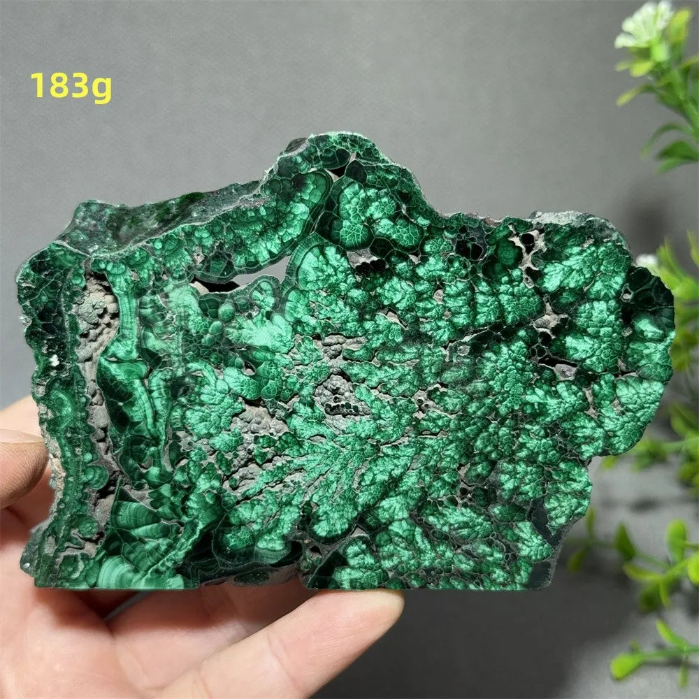 Natural High-Quality And Beautiful Malachite Slate Mineral Raw Stone Therapy Meditation Prayer Energy Home Decoration+Bracket