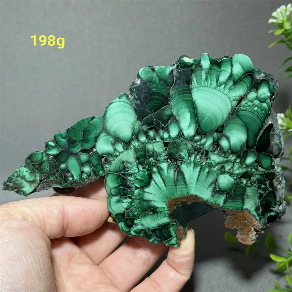 Natural High-Quality And Beautiful Malachite Slate Mineral Raw Stone Therapy Meditation Prayer Energy Home Decoration+Bracket