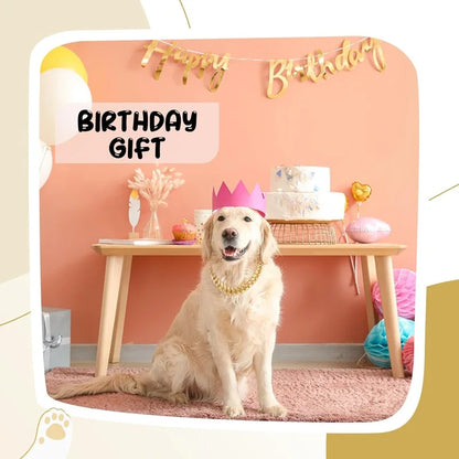 Dog Chain Collar Luxury Gold Pet Metal Chain Collar For Small Medium Large Dogs Cats Pet Jewelry Necklace Accessorie