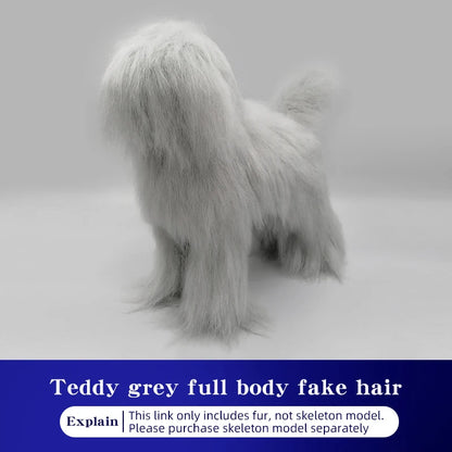 Teddy Pet Simulation Hair Beauty Fake Beautician Practicing Dog Standard Teddy Full Body Fake Head, Skeleton Model, Pet Groomer