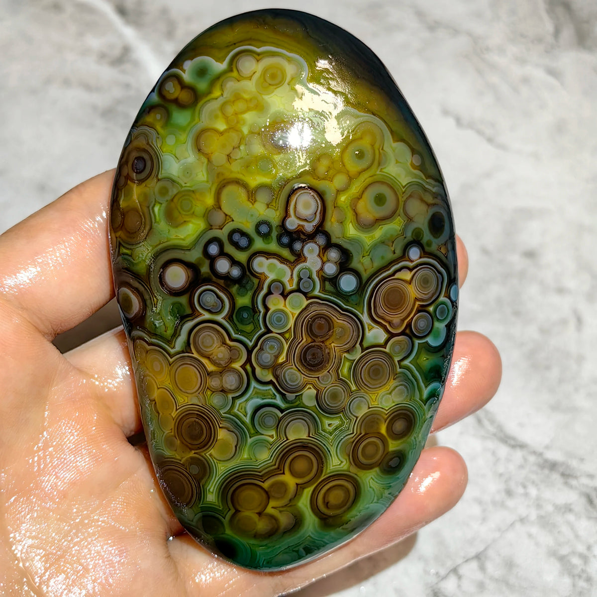 Large Natural Gobi Agate Palm Stone Flower Eye Mongolian Raw Rock Minor Flaws Unpolished For Collectors Home Decor Display