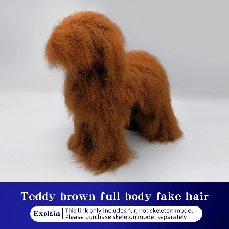 Teddy Pet Simulation Hair Beauty Fake Beautician Practicing Dog Standard Teddy Full Body Fake Head, Skeleton Model, Pet Groomer