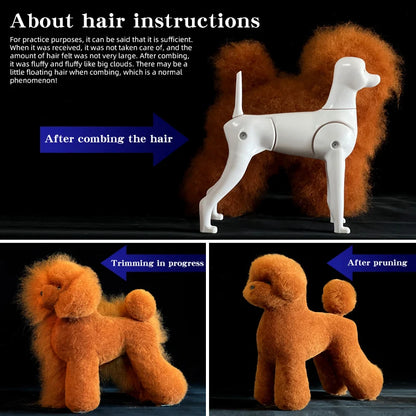 Teddy Pet Simulation Hair Beauty Fake Beautician Practicing Dog Standard Teddy Full Body Fake Head, Skeleton Model, Pet Groomer