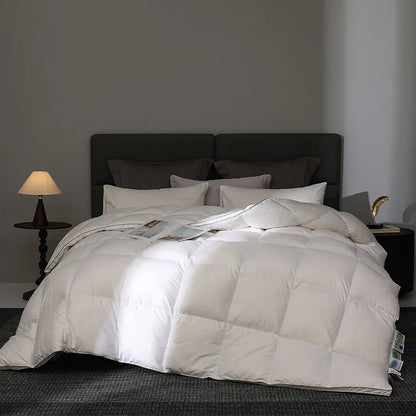 Queen Size 4-Season Down Duvet: 95% Hungarian Goose Down, Hotel Luxury, 220x240cm