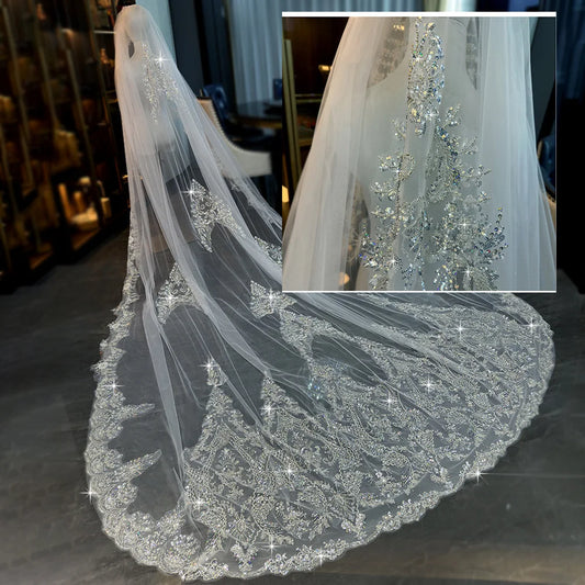 Exquisite Mantilla Wedding Veils with Comb Crystal with Applique Beads Long Cathedral Bridal Veils Real Pictures L&P DQL Studio