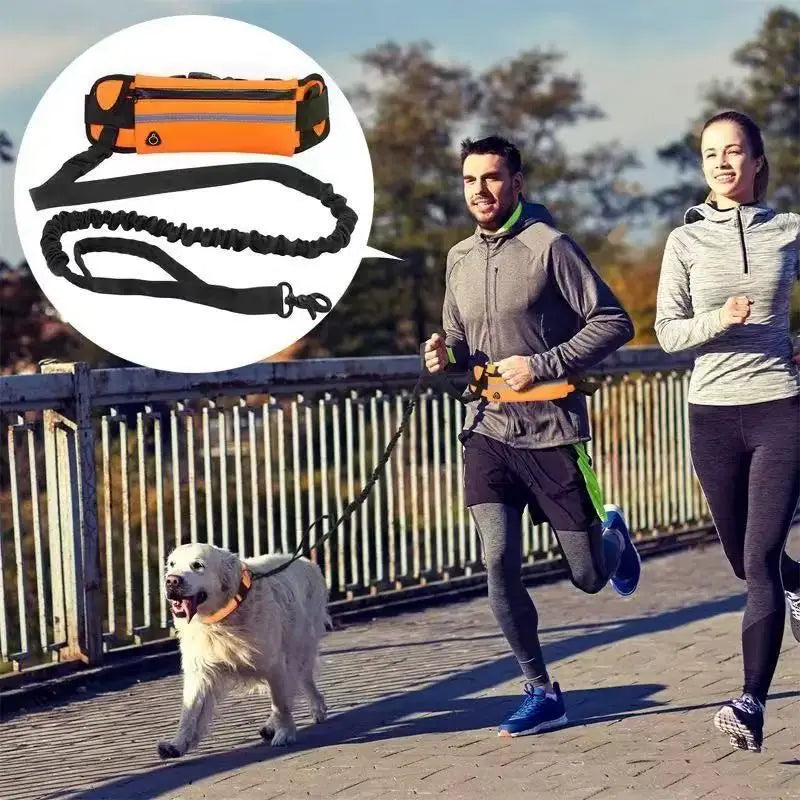 Dog Running Waist Leash Nylon Pet Leash with Waist Bag Retractable Elastic Belt Dog Traction Rope Reflective Belt Buckle