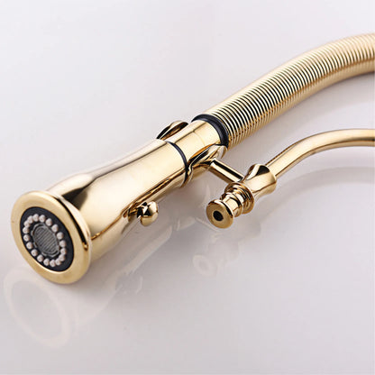 AITANA Luxury Golden Brass Kitchen Faucet with Retro Design, Single Handle Hot and Cold Dual Control 2 Function Sink Mixer