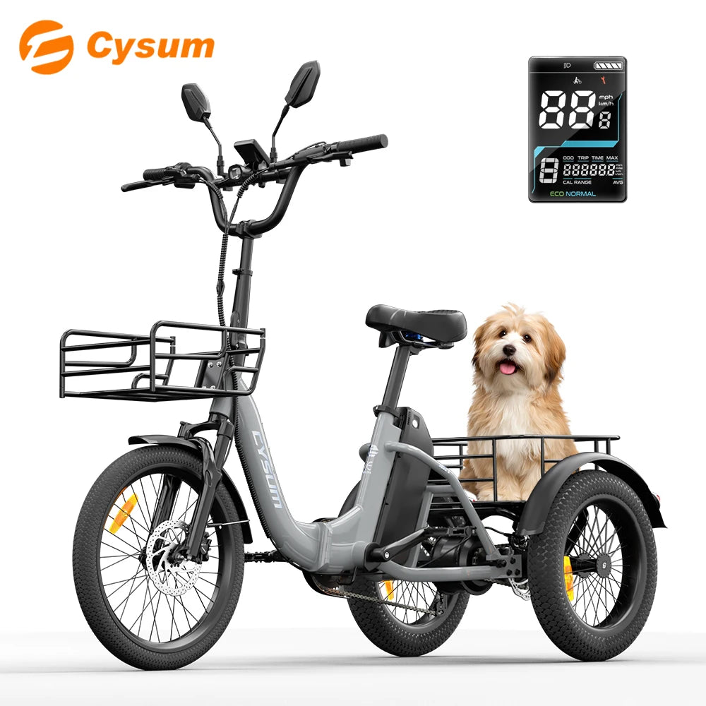 Electric Tricycle 750W Motor 48V 20AH Remover Lithium Battery Foldable 3 Wheel Electric Bike 16 Inch Fat Tire 100km Ebike