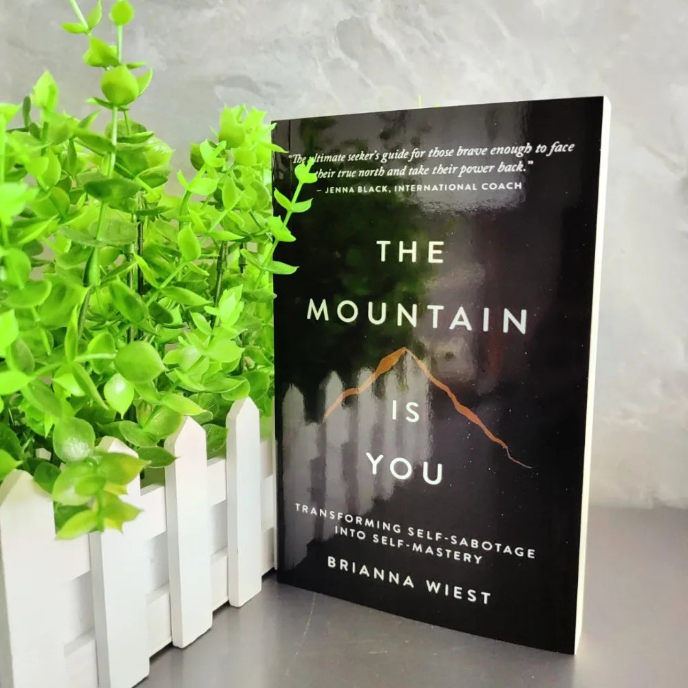 The Mountain Is You English Book Self Transformation Psychology Self Help Reading Book Inspirational Self Growth Novel