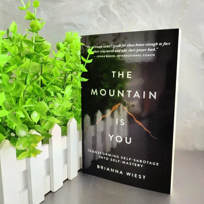 The Mountain Is You English Book Self Transformation Psychology Self Help Reading Book Inspirational Self Growth Novel