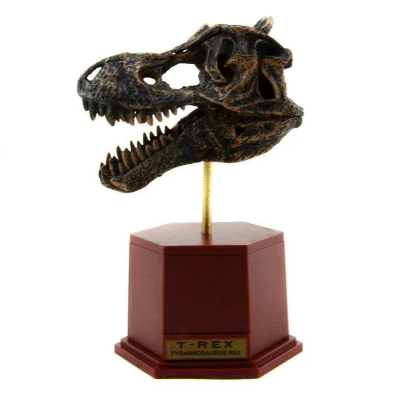 Dinosaur Skeleton Fossil ABS Assembly Dinosaurs Toys Model Building Kits Collection Jurassi Park T-rex Skull Decoration Crafts