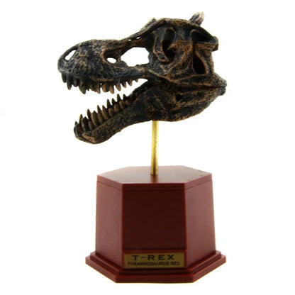 Dinosaur Skeleton Fossil ABS Assembly Dinosaurs Toys Model Building Kits Collection Jurassi Park T-rex Skull Decoration Crafts