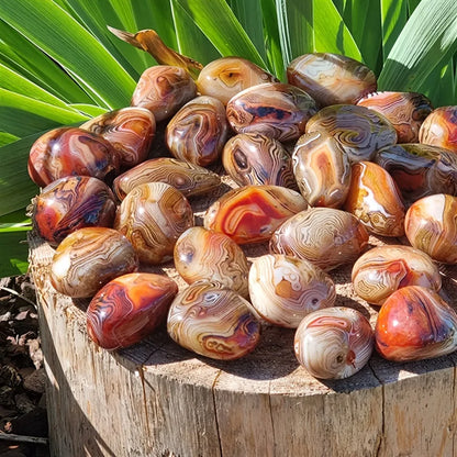 Natural Sardonyx Agate Palm Stone Energy Crystal Silk Agate Mineral Specimen Polished Reiki Healing Decor