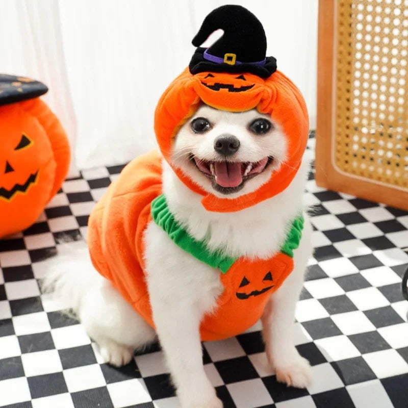 Halloween Pumpkin Plush Pet Hat - Cute Cat Dog Woven Warm Headdress for Kitten Puppy Cosplay Costume Accessory