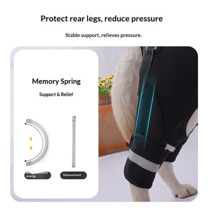 Dog Hind Leg Support Harness for Senior Disabled Dogs, Rehabilitation Mobility Lifting Aid, Adjustable Walking Assistance Leash