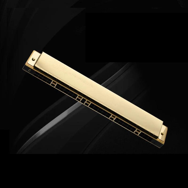 Guoguang 24-Hole 28-Hole Polyphonic Harmonica in C Key for Adults, Beginners, and Students, Entry-Level Performance Instrument, Commemorative Harmonica, Wide-Range Harmonica