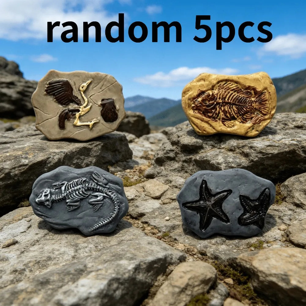 5pcs Random DIY Dinosaur Fossils, Archaeological Accessories, Sand Table Model Decorations, Model Enthusiast Collectibles