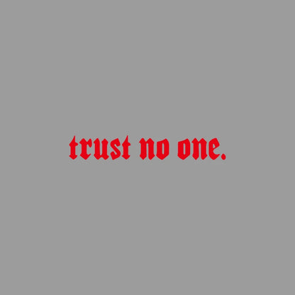 Edgy Trust No One Gothic Vinyl Car Sticker, Durable Weatherproof Quote Decal for Car Window, Fuel Tank, Door, Dark Auto Decor