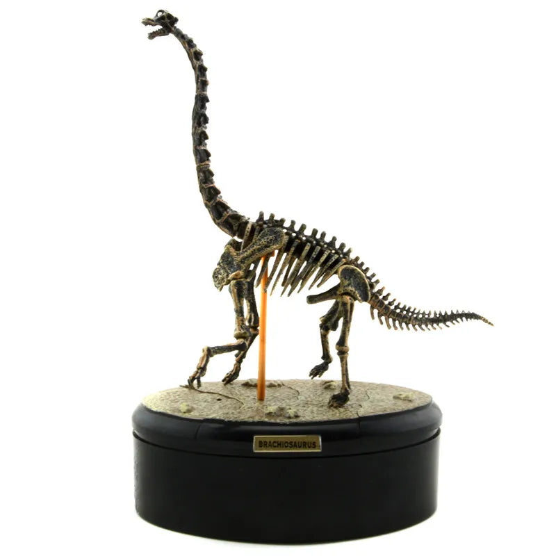 Dinosaur Skeleton Fossil ABS Assembly Dinosaurs Toys Model Building Kits Collection Jurassi Park T-rex Skull Decoration Crafts