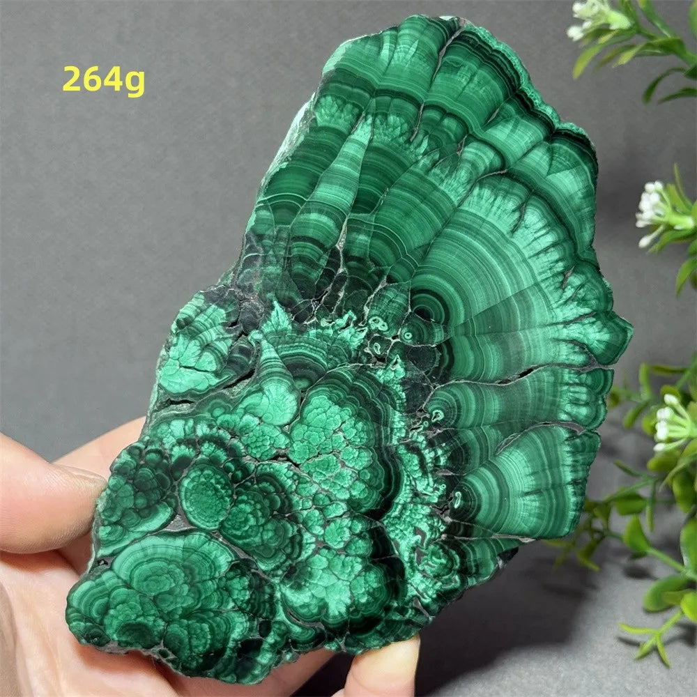 Natural High-Quality And Beautiful Malachite Slate Mineral Raw Stone Therapy Meditation Prayer Energy Home Decoration+Bracket
